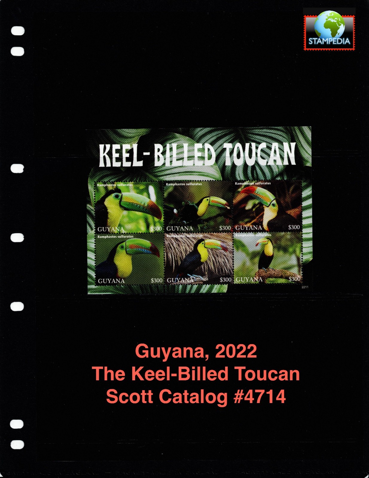 $17.50 Scott Value - 2022 GUYANA Toucans s/s Birds South America CV MNH NH UMM