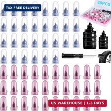 60 PCS Premium Tire Repair Rubber Nails Kit, Portable Screw in Tire Plugs with S