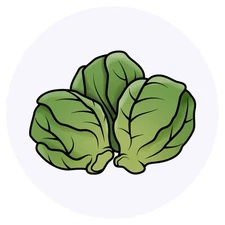 24 x 'Sprouts' Stickers - for Crafts, Scrapbooking and Labelling (SK00018849)