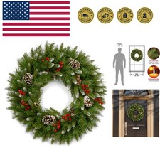 24 in Unlit Frosted Berry Artificial Christmas Wreath, Christmas Decoration w...