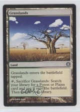 Grasslands Magic The Gathering Duel Decks: Knights vs Dragons #35