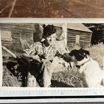 Vintage Snapshot Photo Little Boy & His Farm Dogs Early Farm Life Photo -- P1