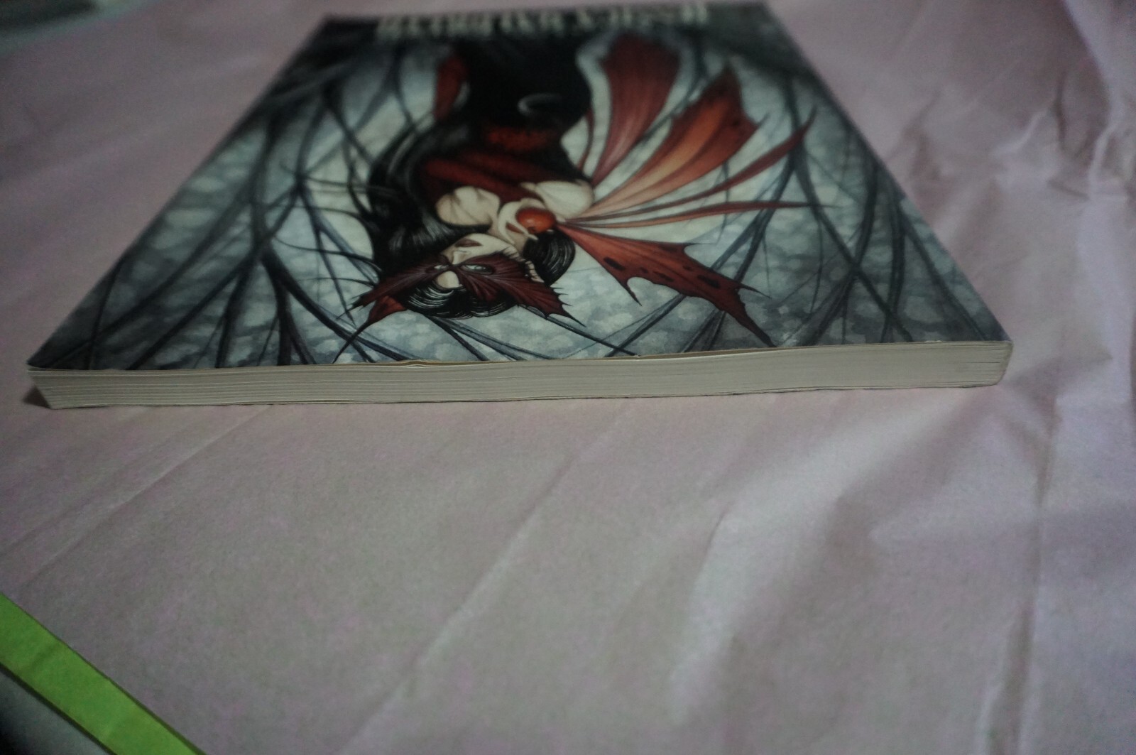 The Enchanted World of Jessica Galbreth  by Jessica Galbreth Paperback image 3