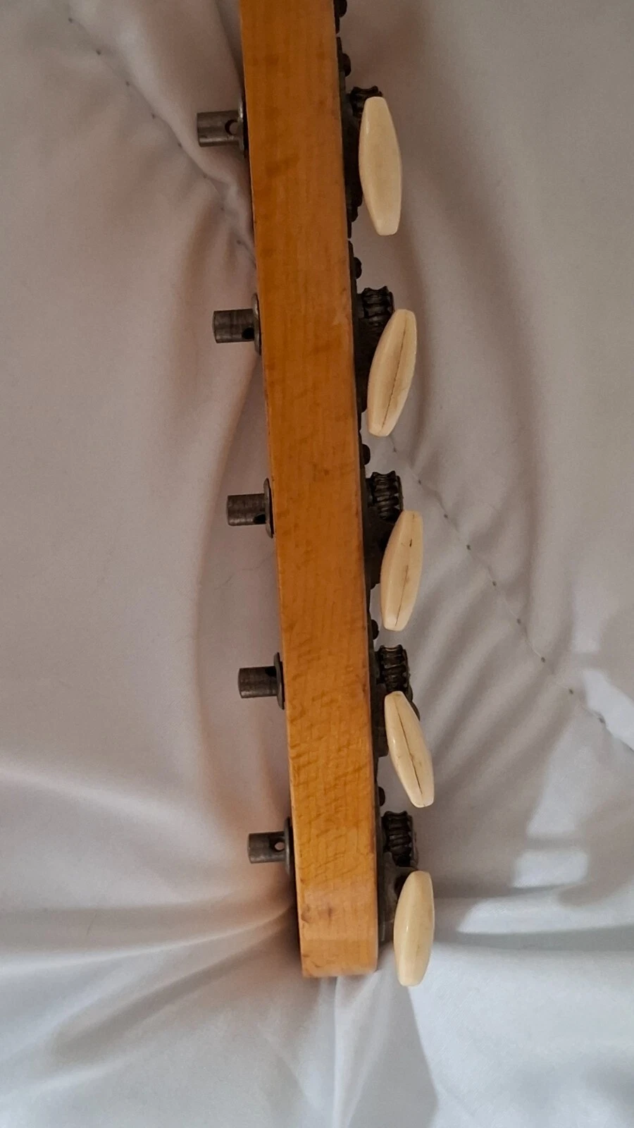 Picture 5 of 13