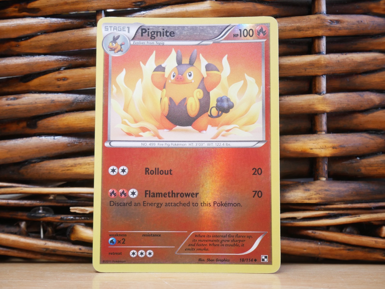 Pokemon PIGNITE 18/114 REVERSE HOLO | LP Light Play | Black & White | 2011