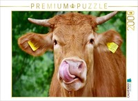 Calvendo Puzzle Bitte Nicht Nachmachen ! 2000 Teile Puzzle Quer | 2000 Teile Leg