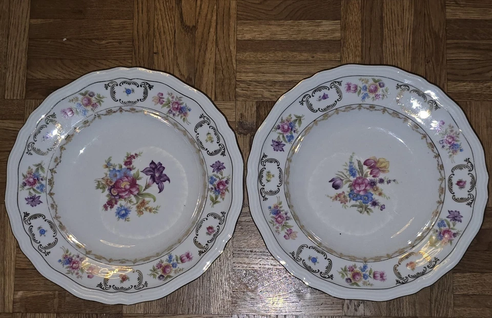 2 Suppenteller Blumenmuster Rheinkrone Bavaria 25 cm Porzellan Blumen Teller