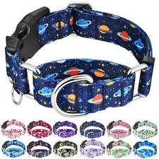 Martingale Dog Collars with Buckle No Slip Training Boy Dog Collar for Medium...