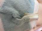Bild 11 von 12