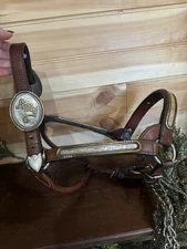 Beautiful Custom Harris Show Halter – Perfect Gift for an “Amy” Silver Overlay