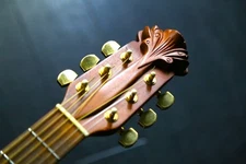 Ovation Adamas 1587 Acoustic Guitar [AUTH]