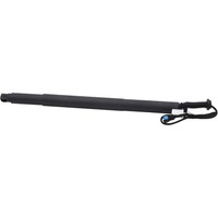 Diederichs 9100534 Gasfeder, Koffer-/Laderaum Hinten Links FüR BMW X6 (F16, F86)