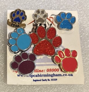 7 x Paw Pin Badges Animal Charities PDSA RSPCA