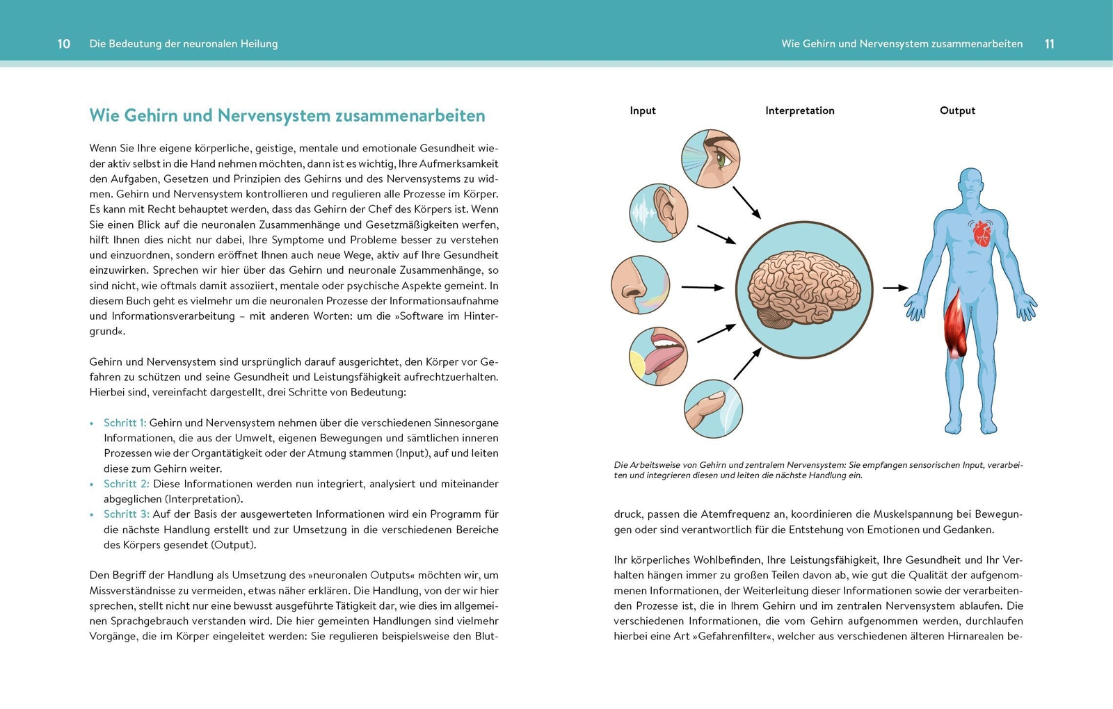 Thumbnail - Neuronale Heilung | Lars Lienhard (u. A.) | Taschenbuch | 320 S. |