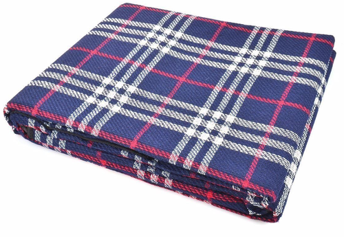 large foil backed picnic blanket