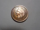1895 Indian Head Cent in VG condition.  Some Liberty. But you decide!!!!!!!!!!!!