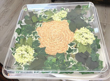Vintage Lucite/Acrylic Tropical Theme Botanical Tray - ALPAC CREATIONS
