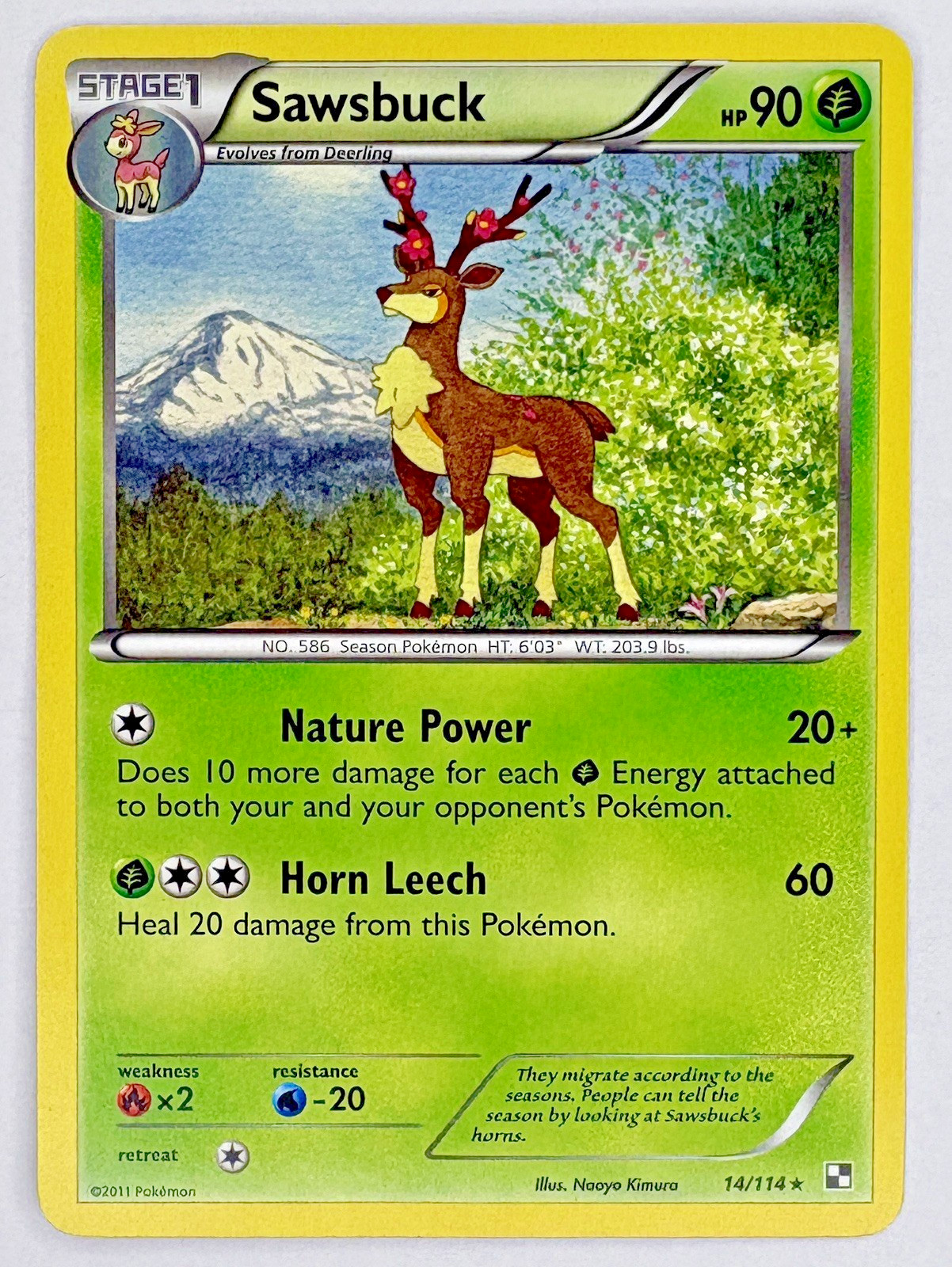 Pokemon Sawsbuck 14/114 Black & White Regular Rare LP