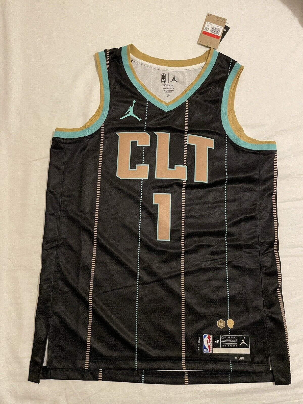 Charlotte Hornets Jordan Statement Edition Swingman Jersey 22