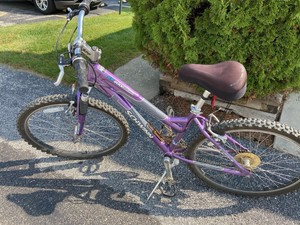 purple schwinn mountain bike