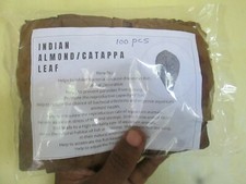 50g Catappa Indian almond leaves ketapang leaf shrimp betta fish aquarium care