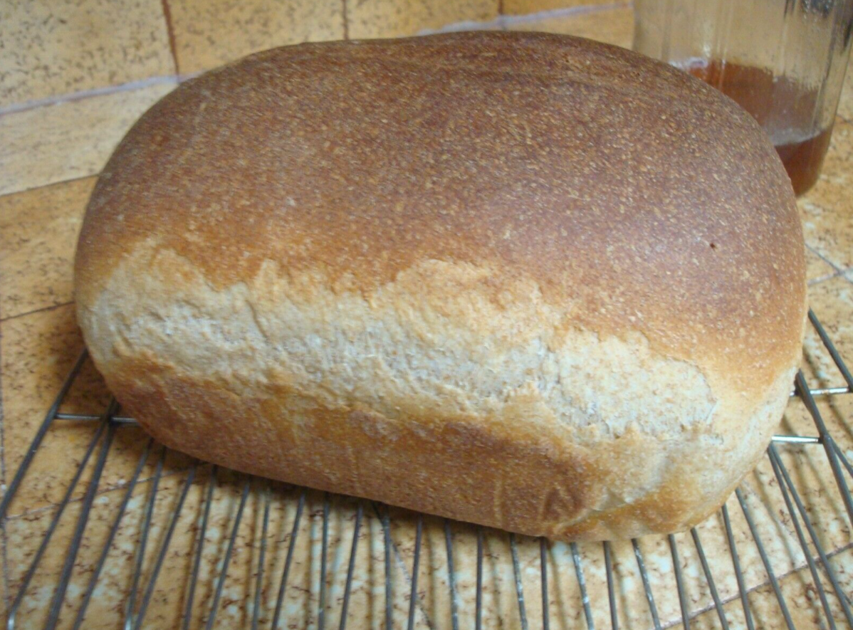 30 Lbs. USDACertified Organic Hard Red Winter Wheat Berries eBay