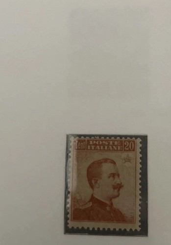 1916 FRANCOBOLLO TIPO MICHETTI A DESTRA 20 CENT. SENZA FILIGRANA RARO MNH ** - Foto 1 di 1