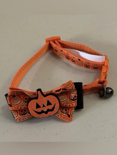 Cat Jack O Lantern Pumpkin Collar Bell Breakaway Latch Orange Black Green