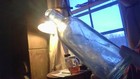 VIN~"WAGER BROS. TROY N.Y. WB IN STAR LOGO~ICE BLUE~8 FL OZ~CROWN TOP~WB ON BOTT — photo 2