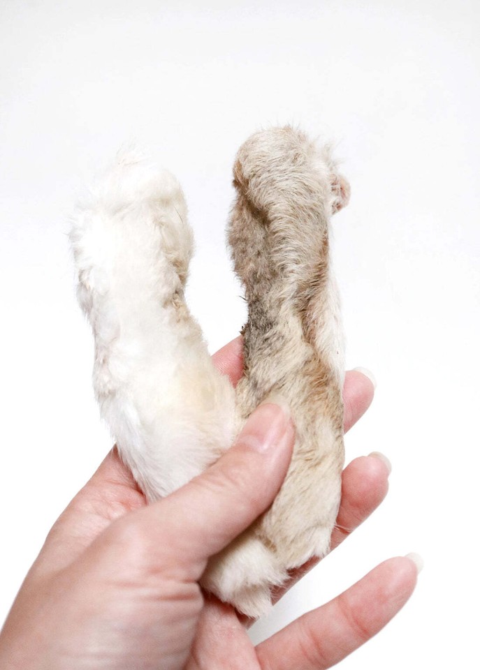 1Kg 100 Natural Rabbit Feet for Dog Puppy Digestive Pet Food Dog Chews