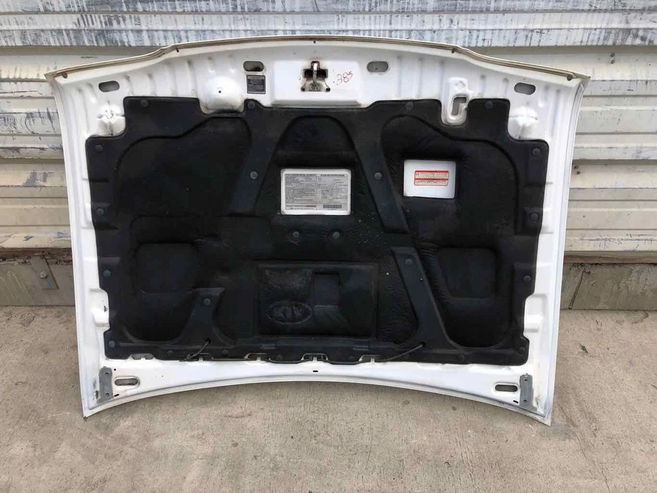 KIA SPORTAGE 1995-2002 deportivo utilitario capó panel pintura código UD blanco transparente Foto 4 de 4