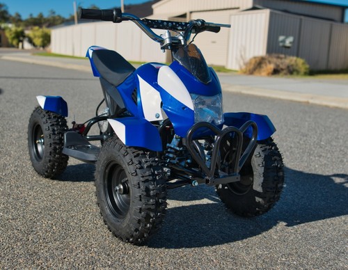 car Electric Mini Dirt Quad Bike 