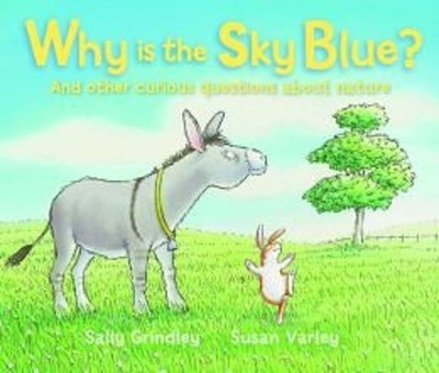 Why Is the Sky Blue? : And Other Curious Questions about Nature S