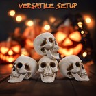 Yescom 12 Pcs Human Skulls Life Size Skeleton Head Halloween Decorations — photo 4