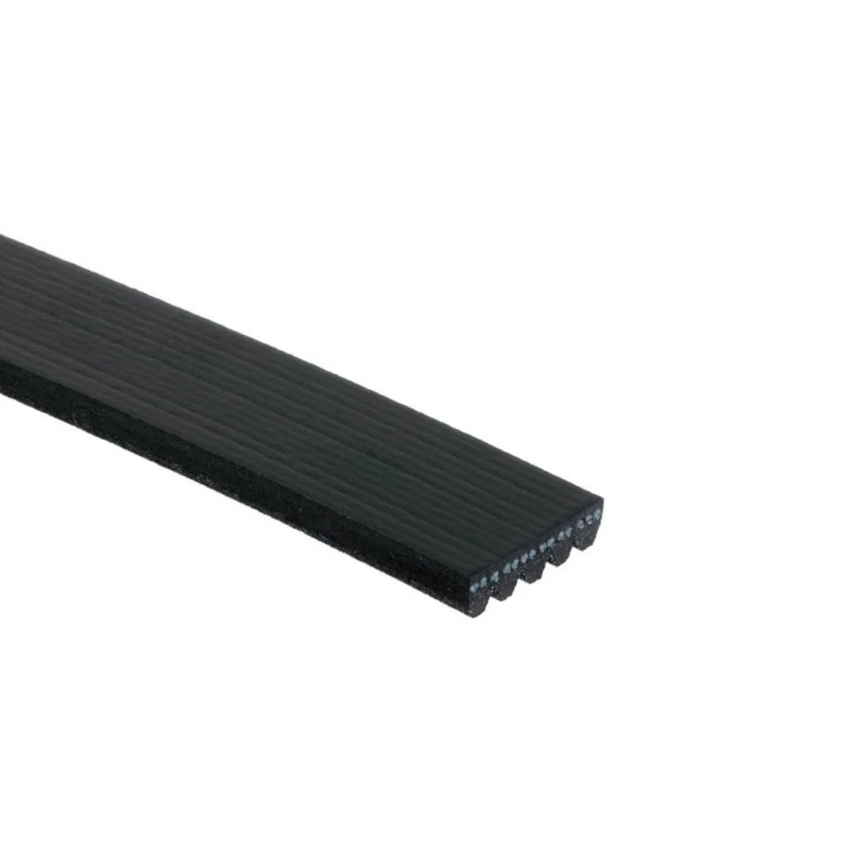 Cinturón serpentino acanalado en V estándar ACDelco genuino para Audi S7/S6 2018 | negro Foto 2 de 4