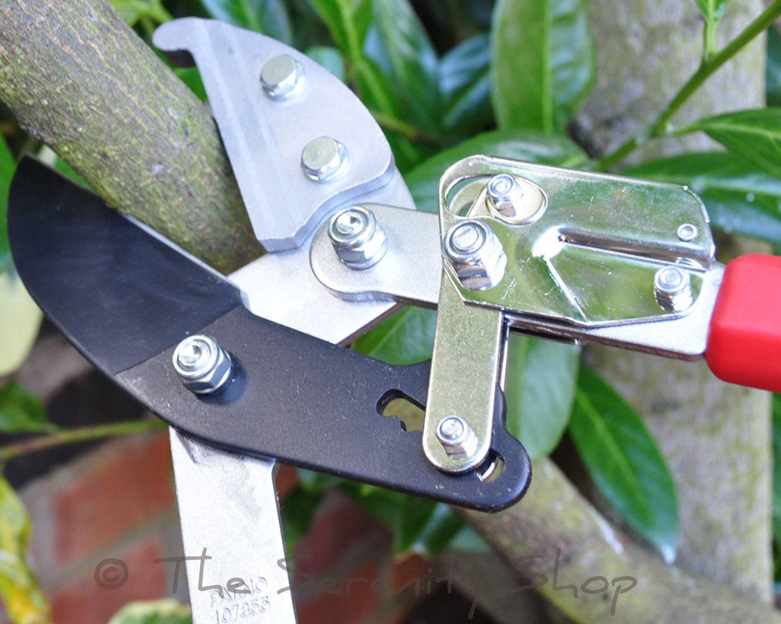 DARLAC GARDEN TELESCOPIC LIGHTWEIGHT RATCHET LOPPERS DP474A