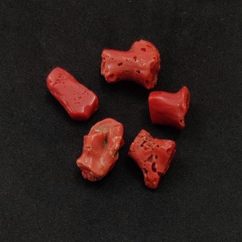 Piedras preciosas sueltas ásperas de coral italiano 100 % naturales vintage coral rojo pulido áspero - Imagen 10 de 10