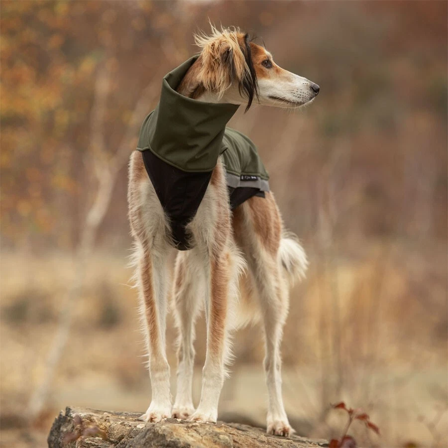 Sofshelljacke Windhund - Greyhound Galgo Whippet Windspiel Jumper Pullover - Bild 4 von 4