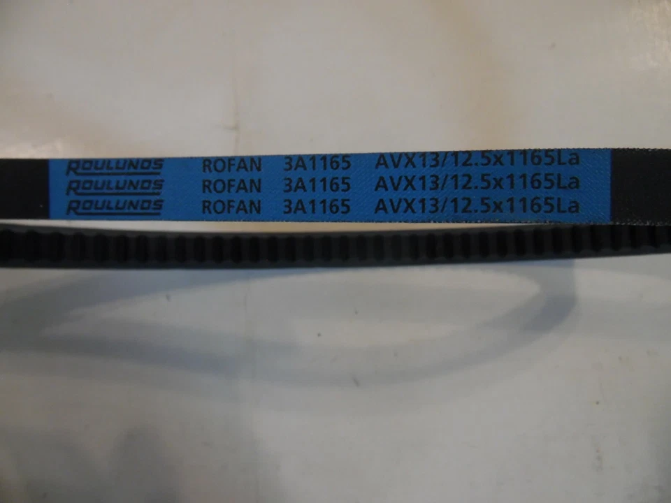 Roulunds ROFAN 1A1125 (10 x 1125) 高级配件驱动 V 型皮带 — 第 3/3 张图片