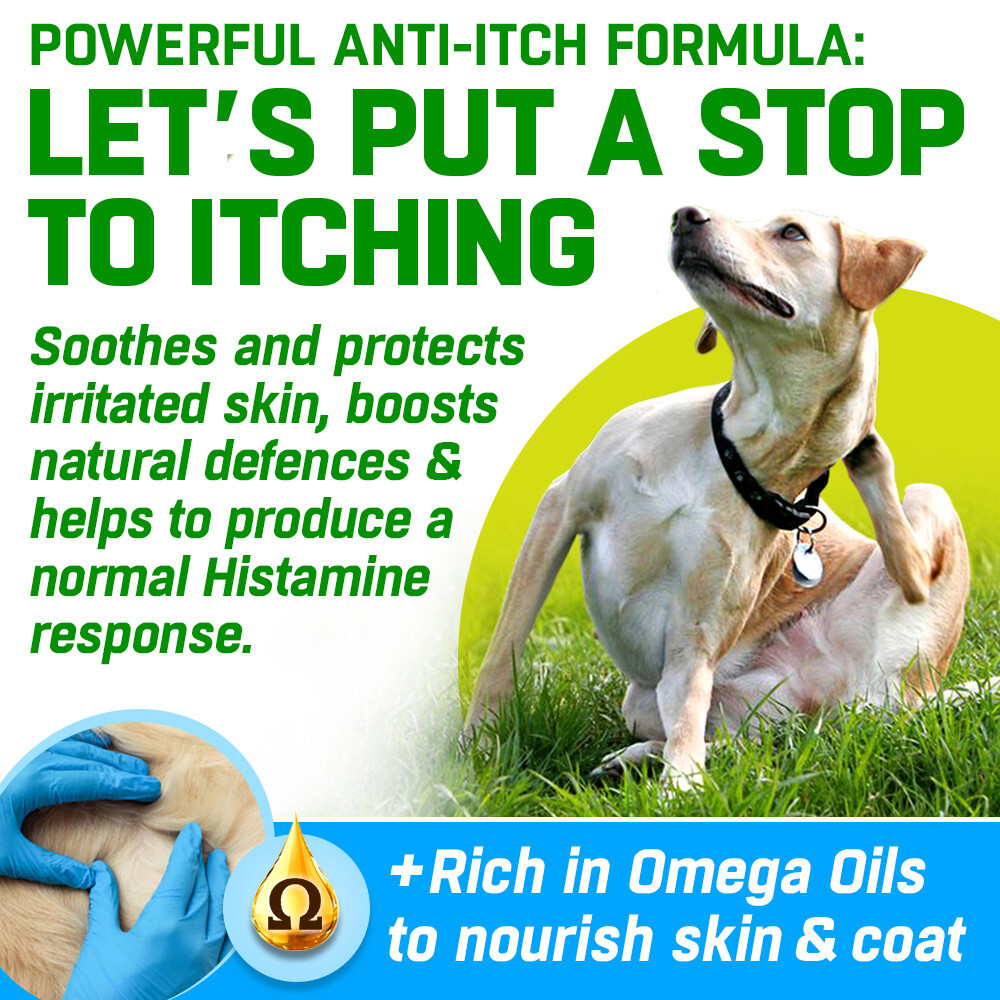 CANIVET Immune Boost, Allergy and Itchy Dog Relief Treats- 150 Tasty Chews