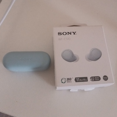 Sony WF-C510 True Wireless Bluetooth In-Ear-Kopfhörer blau mit Ladecase