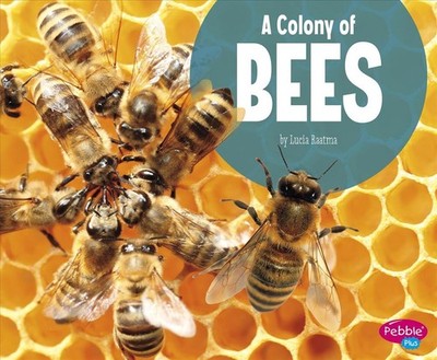Animal Groups Colony of Bees by Martha E.H. Rustad (English) Paperback Book