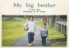 My Big Brother (PM Nonfiction Yellow Level) | Buch | Zustand sehr gut