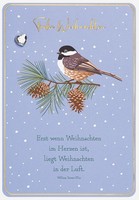 Weihnachten - Unverpackt - GlüCkwunschkarte Im Format 11,6 X 16,6 Cm Mit Umschla
