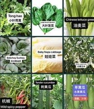 Set of 20Varieties Asian Vegetable Seeds.20种亚洲种子：黄瓜，丝瓜，青菜，辣椒，糯玉米，萝卜，豌豆，豇豆，生菜四季豆等