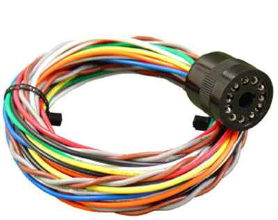 EDI-LMH4-11 Heavy Duty Connecting Harness - Designed for All 11-Pin  Box  Type V