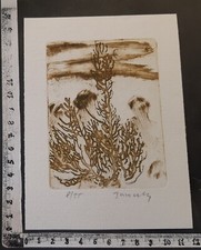 WUNDERKAMMER C EXLIBRIS 704 " PIANTA " - * BORIVOJ BOROVSKY *- C SIGNED