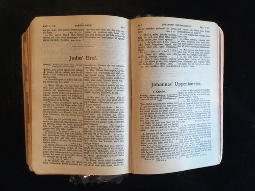 Bibeln eller Den Heliga Skrift (Swedish Bible), 1878 - 第 9/12 張圖片
