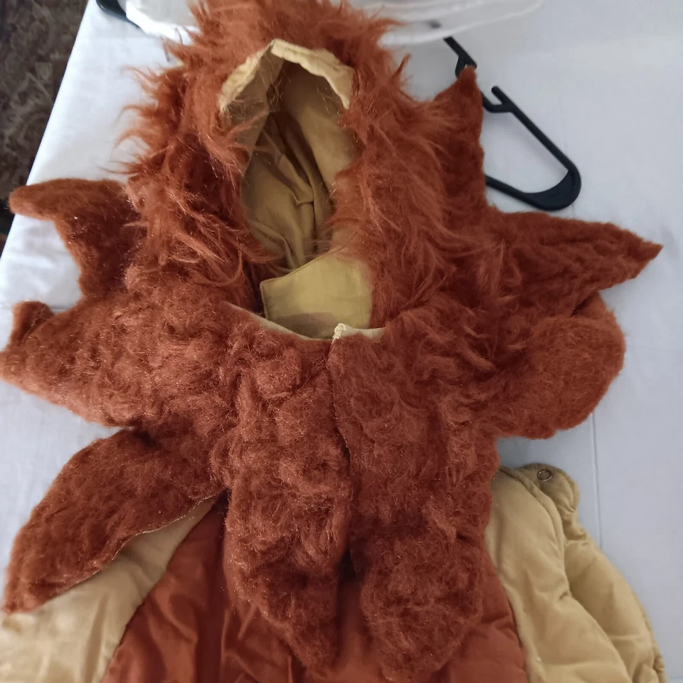 Lillian Vernon 毛茸的狮子立方连身裤颈部毛皮和头饰服装 12-24 个月 — 第 2/4 张图片