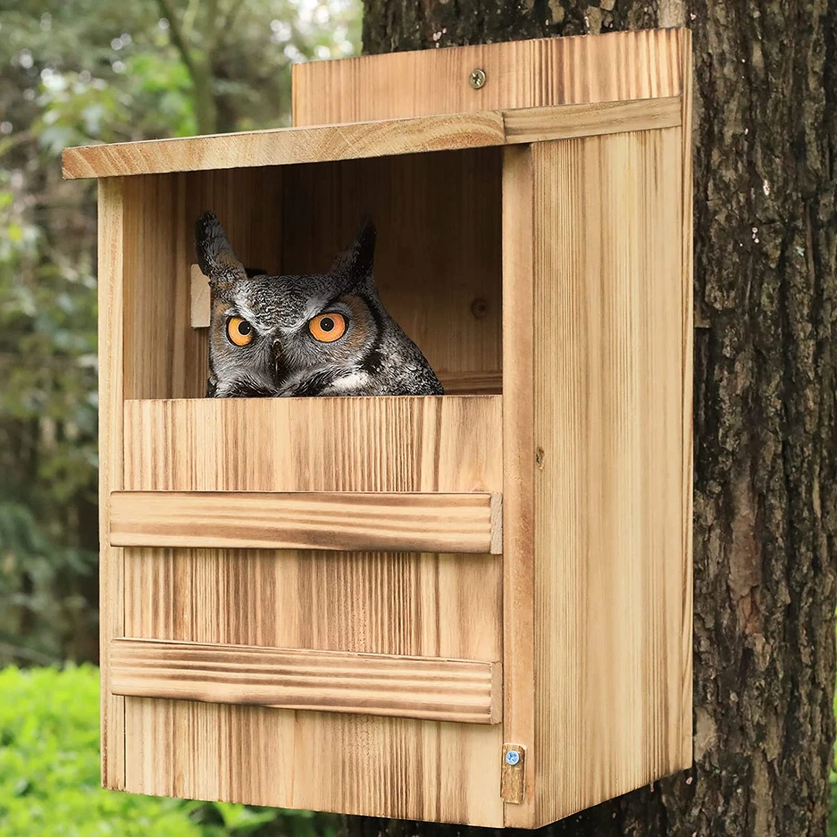 Barn Owl Nest Box
